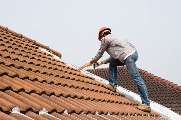 Best Sheet Metal Roofing  in Inglenook, CT